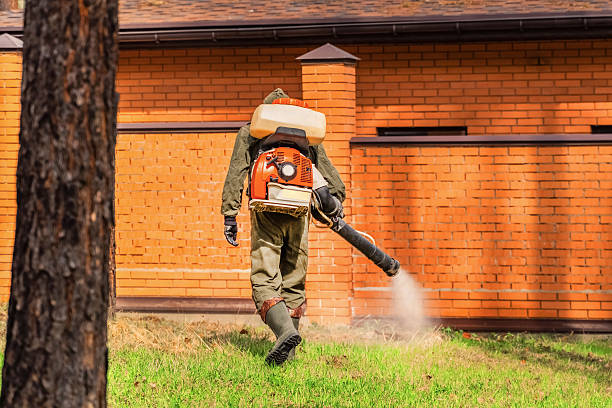 Trusted Cockroach Control service in Laguna Hills, CA - Nex Pest Control